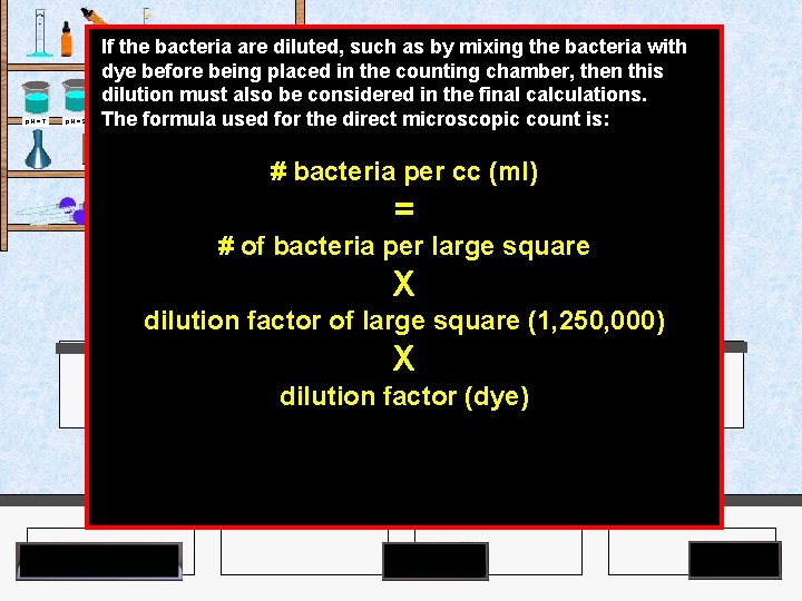 If the bacteria are diluted, such as by mixing the bacteria with dye before