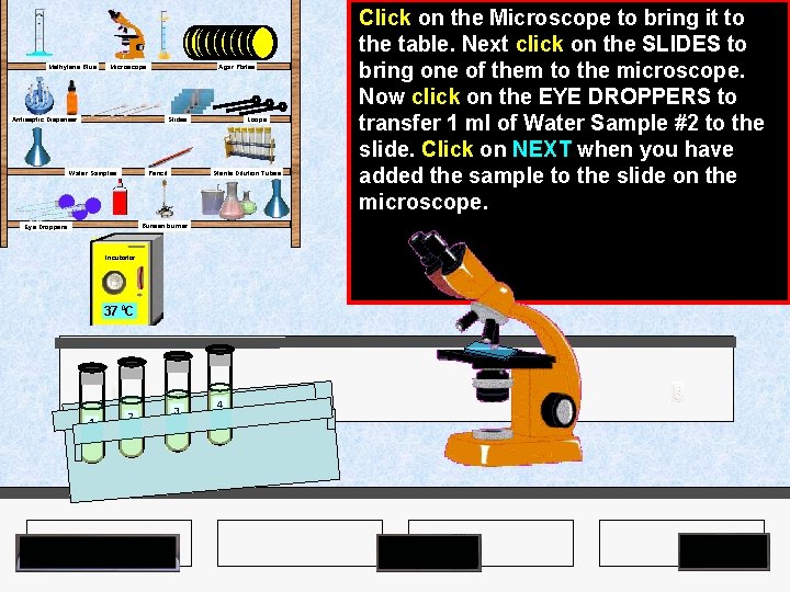 Methylene Blue Agar Plates Microscope Antiseptic Dispenser Slides Pencil Water Samples Loops Sterile Dilution