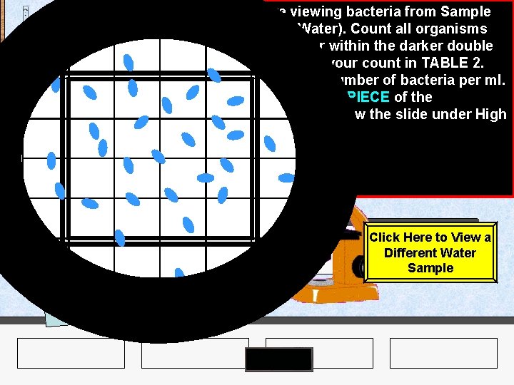 Methylene Blue Agar Plates Microscope Antiseptic Dispenser Slides Pencil Water Samples Loops Sterile Dilution