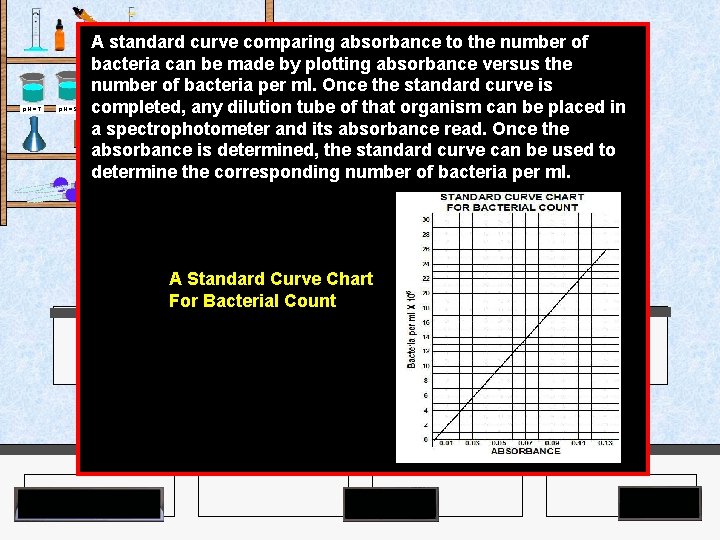 A standard curve comparing absorbance to the number of bacteria can be made by