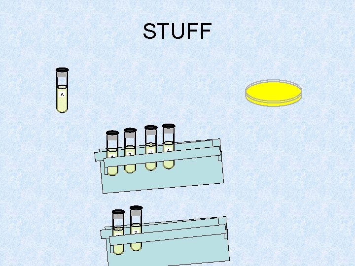 STUFF A 3 2 1 1 2 4 STUFF A 3 2 1 1 2 4