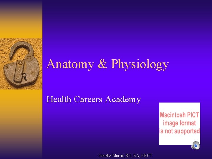 Anatomy & Physiology Health Careers Academy Nanette Morris, RN, BA, NBCT 