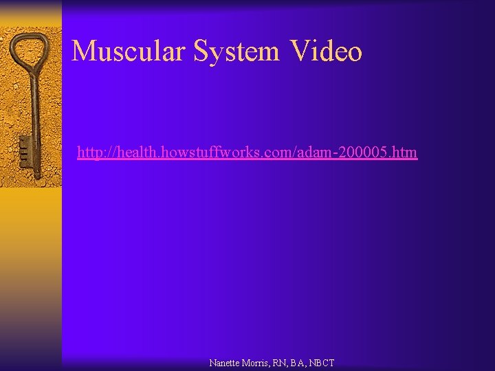 Muscular System Video http: //health. howstuffworks. com/adam-200005. htm Nanette Morris, RN, BA, NBCT 