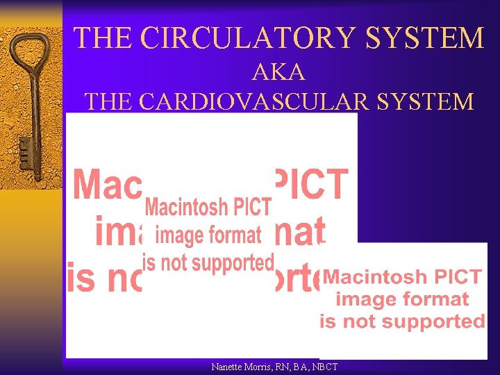 THE CIRCULATORY SYSTEM AKA THE CARDIOVASCULAR SYSTEM Nanette Morris, RN, BA, NBCT 