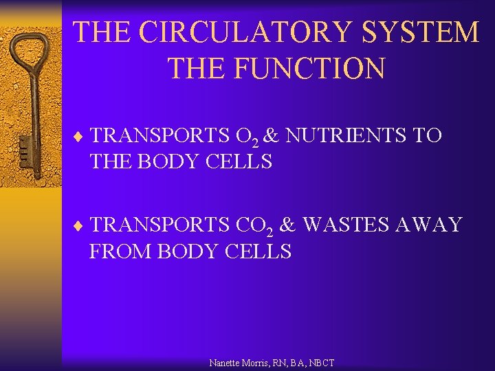 THE CIRCULATORY SYSTEM THE FUNCTION ¨ TRANSPORTS O 2 & NUTRIENTS TO THE BODY