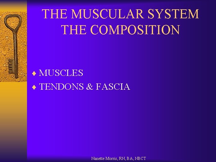 THE MUSCULAR SYSTEM THE COMPOSITION ¨ MUSCLES ¨ TENDONS & FASCIA Nanette Morris, RN,