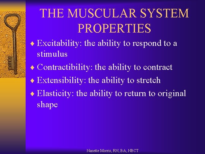 THE MUSCULAR SYSTEM PROPERTIES ¨ Excitability: the ability to respond to a stimulus ¨