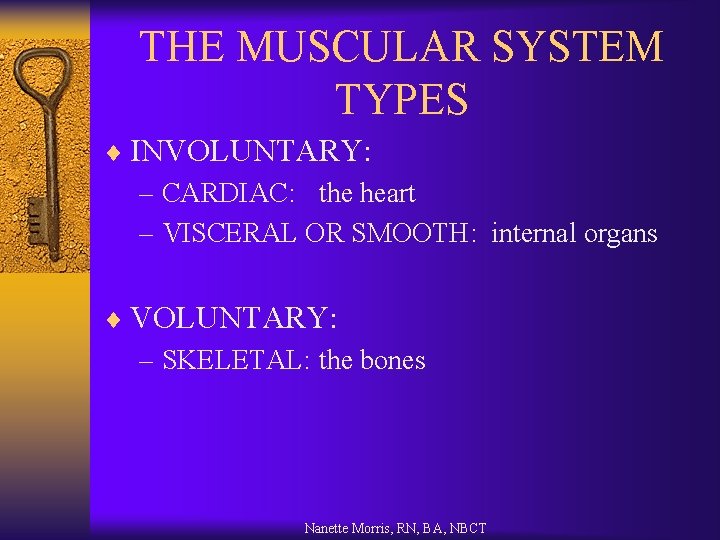 THE MUSCULAR SYSTEM TYPES ¨ INVOLUNTARY: – CARDIAC: the heart – VISCERAL OR SMOOTH: