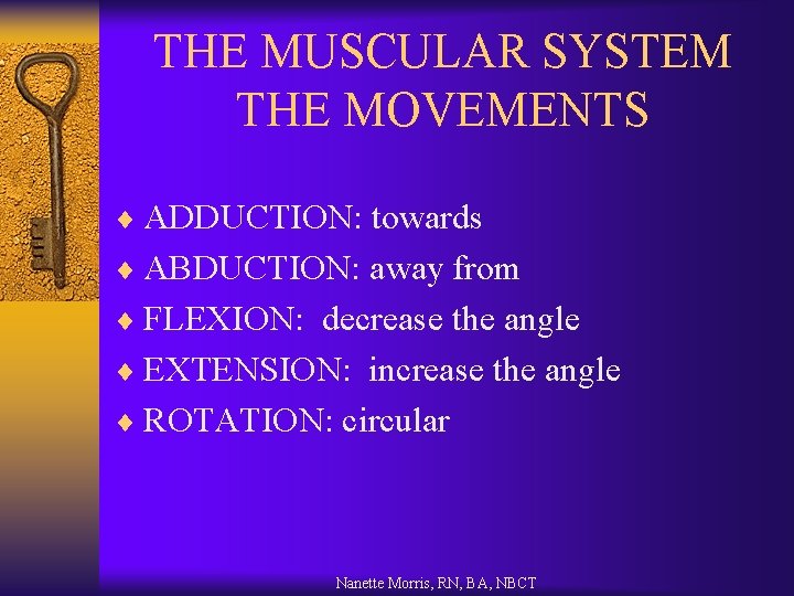 THE MUSCULAR SYSTEM THE MOVEMENTS ¨ ADDUCTION: towards ¨ ABDUCTION: away from ¨ FLEXION: