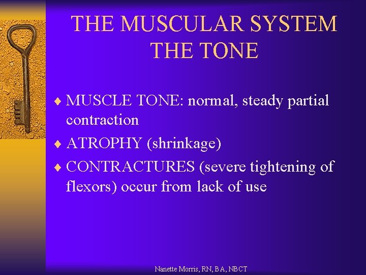 THE MUSCULAR SYSTEM THE TONE ¨ MUSCLE TONE: normal, steady partial contraction ¨ ATROPHY