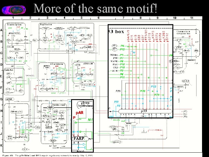 More of the same motif! 
