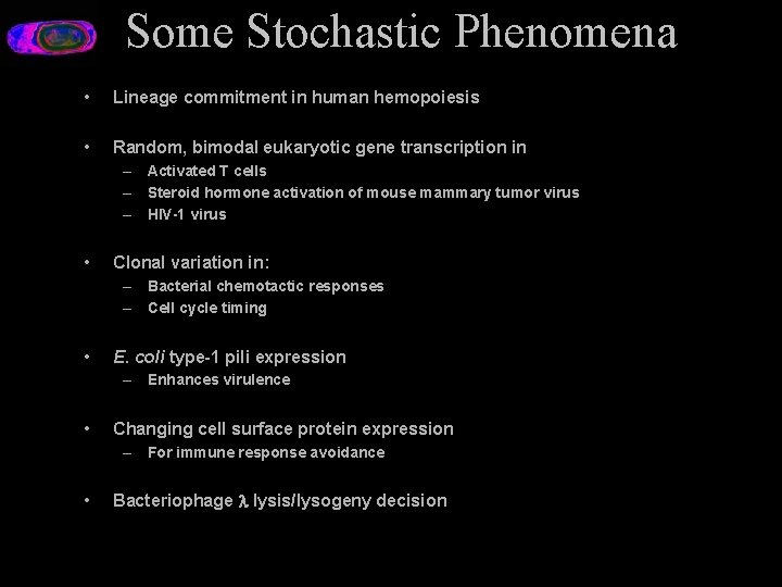 Some Stochastic Phenomena • Lineage commitment in human hemopoiesis • Random, bimodal eukaryotic gene