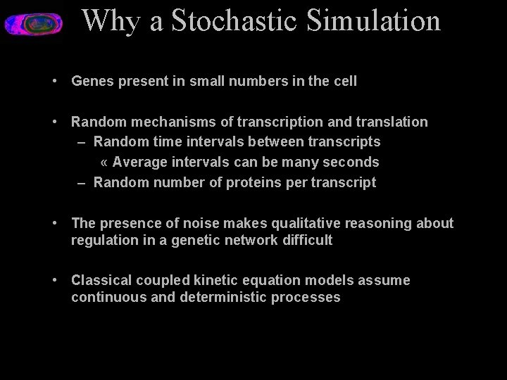 Why a Stochastic Simulation • Genes present in small numbers in the cell •