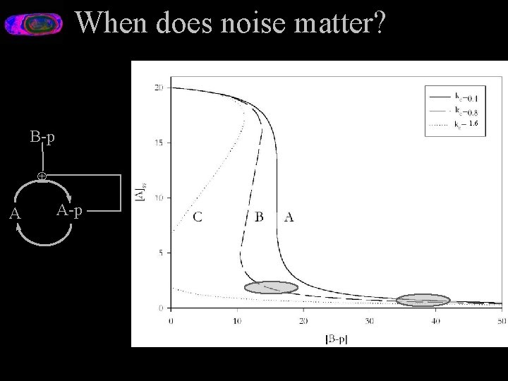 When does noise matter? 1. 6 B-p Å A A-p 