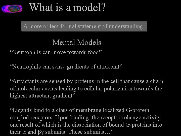 What is a model? A more or less formal statement of understanding. Mental Models