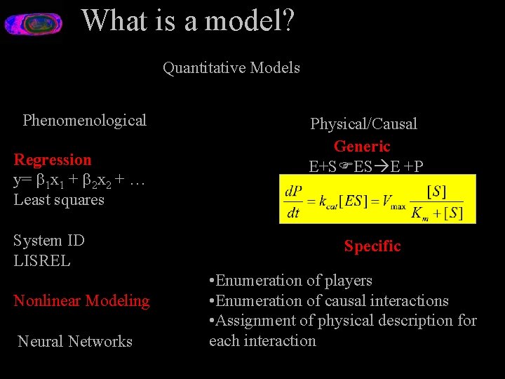 What is a model? Quantitative Models Phenomenological Regression y= 1 x 1 + 2