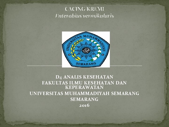 CACING KREMI Enterobius vermikularis D 4 ANALIS KESEHATAN FAKULTAS ILMU KESEHATAN DAN KEPERAWATAN UNIVERSITAS