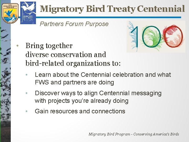 Migratory Bird Treaty Centennial Banding Together for Birds