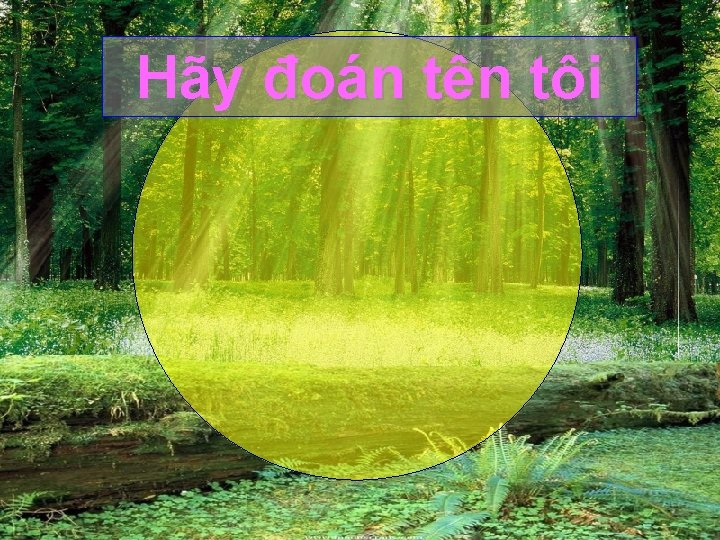 Hãy đoán tên tôi 