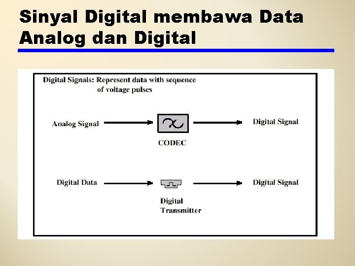 Sinyal Digital membawa Data Analog dan Digital 