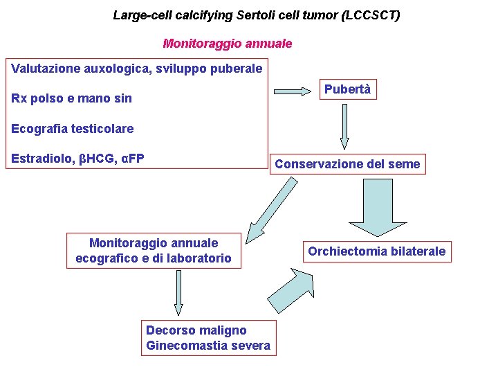 Large-cell calcifying Sertoli cell tumor (LCCSCT) Monitoraggio annuale Valutazione auxologica, sviluppo puberale Pubertà Rx