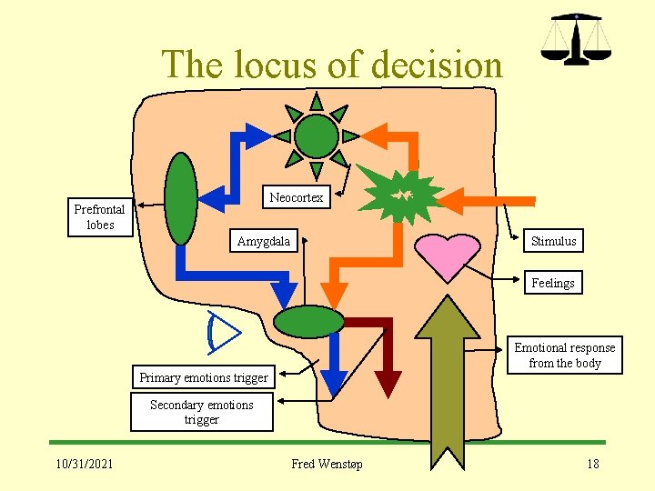 The locus of decision Neocortex Prefrontal lobes Amygdala Stimulus Feelings Emotional response from the