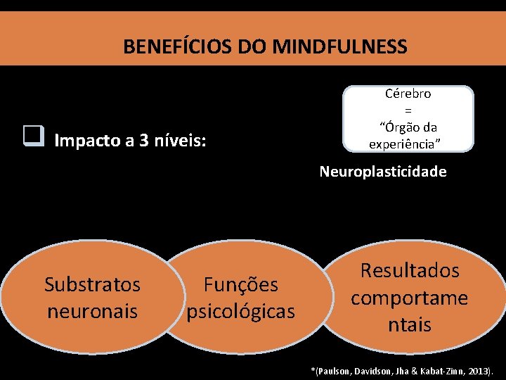 BENEFÍCIOS DO MINDFULNESS q Impacto a 3 níveis: Cérebro = “Órgão da experiência”* Neuroplasticidade