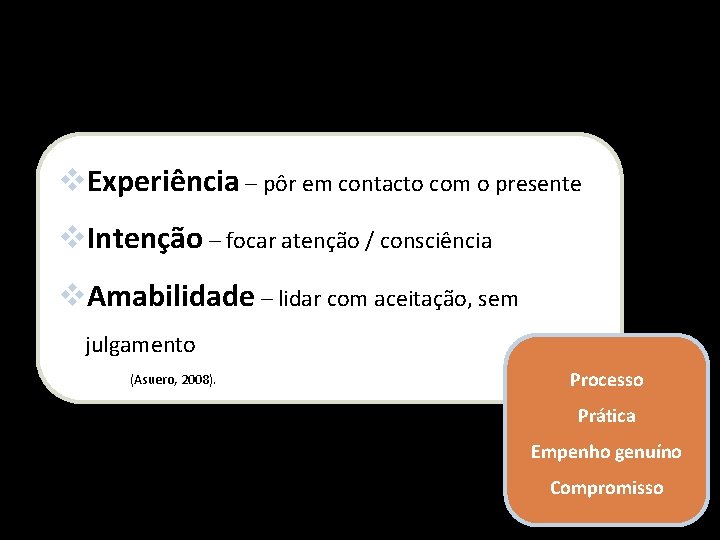 v. Experiência – pôr em contacto com o presente v. Intenção – focar atenção