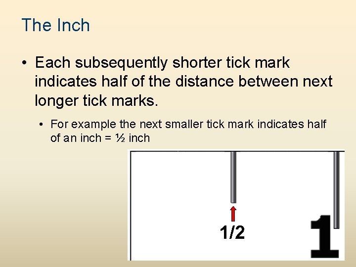 The Inch • Each subsequently shorter tick mark indicates half of the distance between