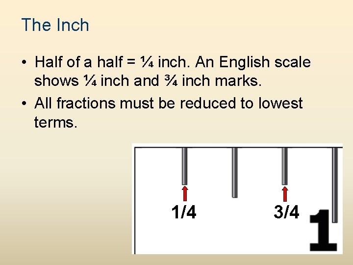 The Inch • Half of a half = ¼ inch. An English scale shows