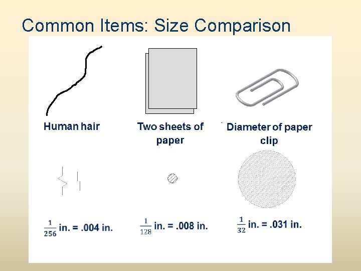 Common Items: Size Comparison 