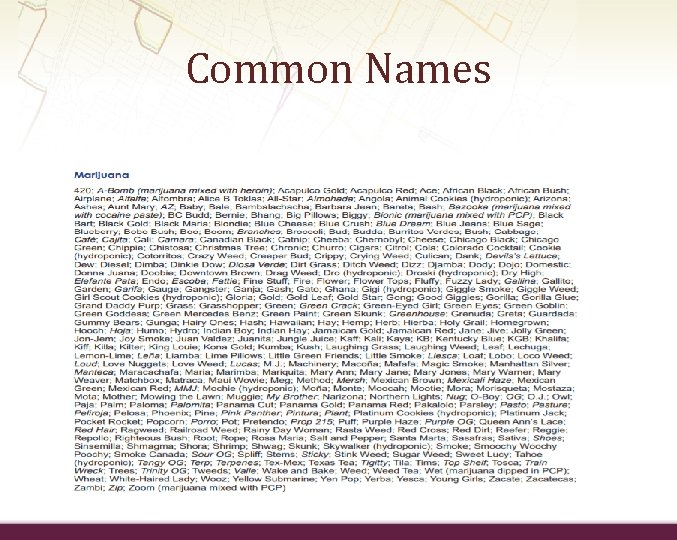 Common Names 