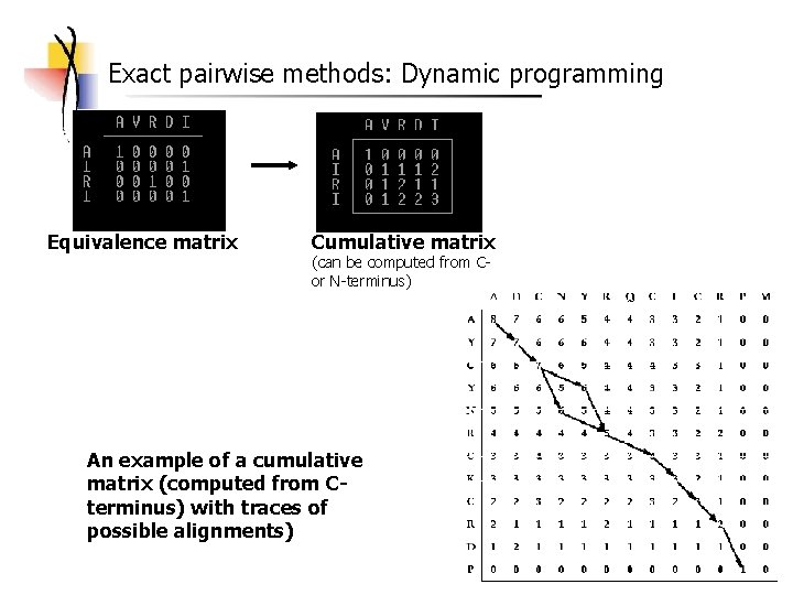 Exact pairwise methods: Dynamic programming Equivalence matrix Cumulative matrix (can be computed from Cor