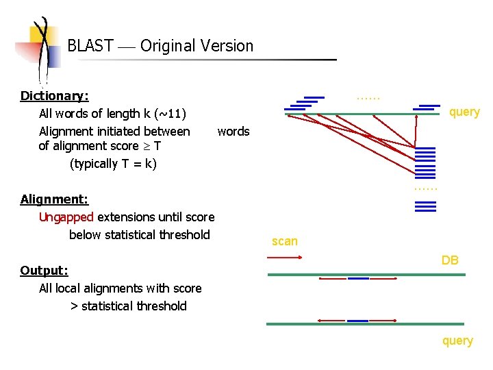 BLAST Original Version Dictionary: All words of length k (~11) Alignment initiated between of