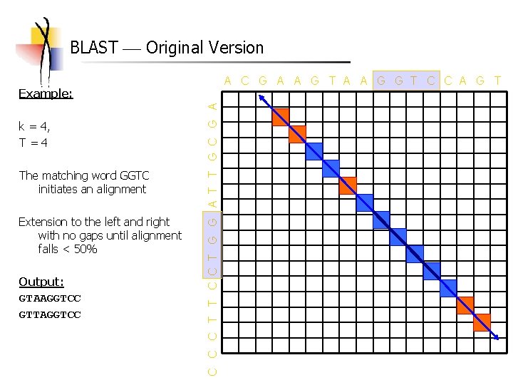 BLAST Original Version A C G A A G T A A G G