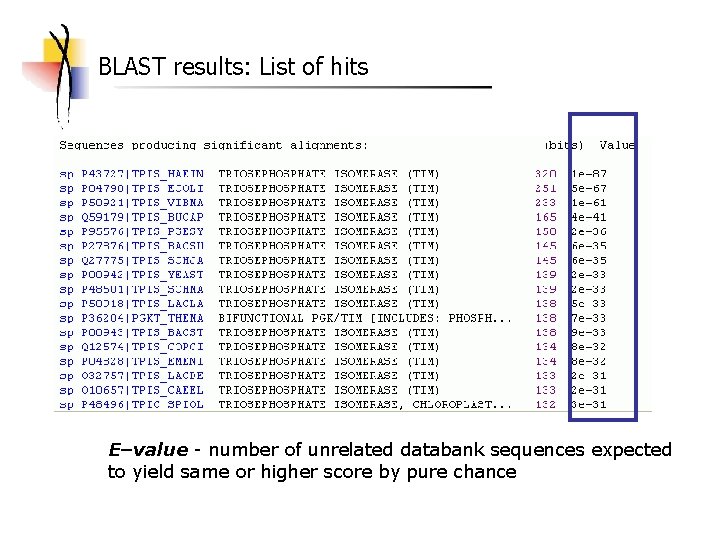 BLAST results: List of hits E–value - number of unrelated databank sequences expected to