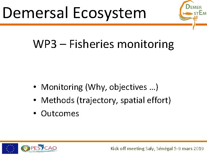 Demersal Ecosystem WP 3 – Fisheries monitoring • Monitoring (Why, objectives …) • Methods