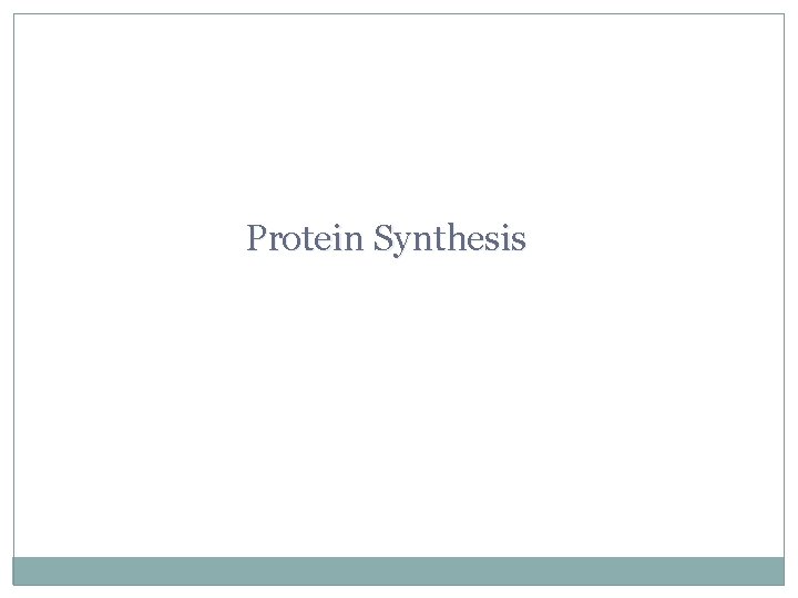 Protein Synthesis 