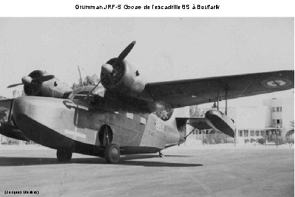 Grumman JRF-5 Goose de l’escadrille 8 S à Boufarik (Jacques Moulins) 