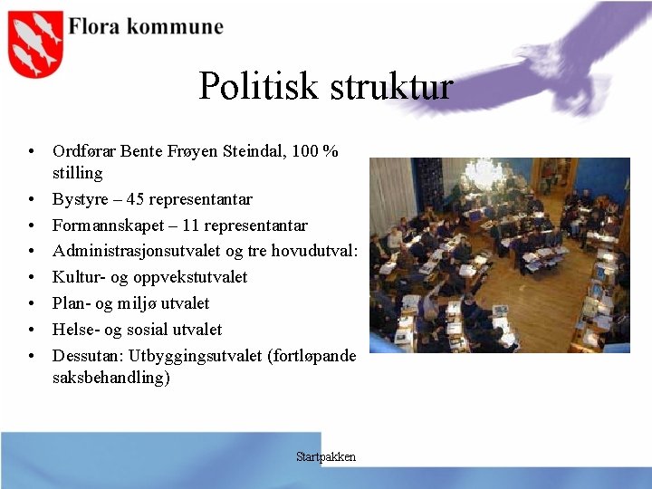 Politisk struktur • Ordførar Bente Frøyen Steindal, 100 % stilling • Bystyre – 45