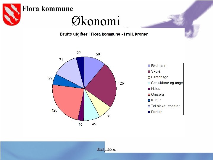 Økonomi Startpakken 