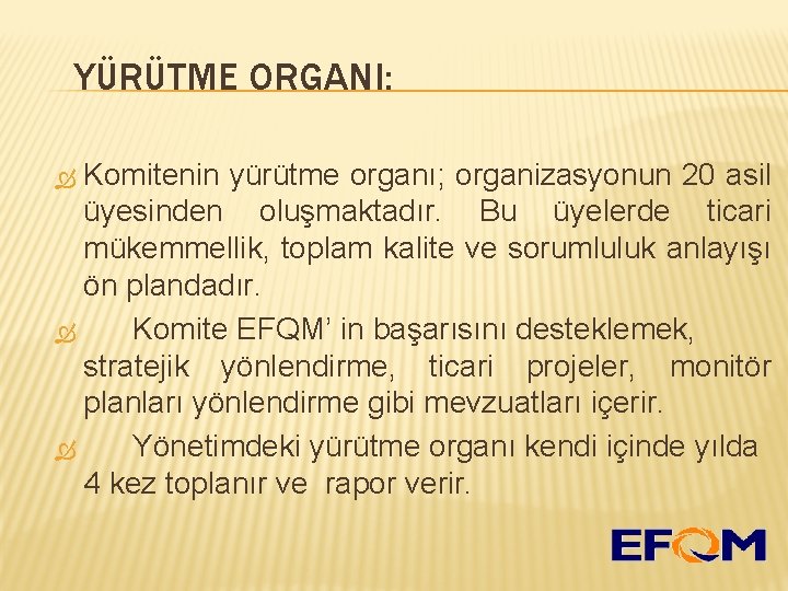 YÜRÜTME ORGANI: Komitenin yürütme organı; organizasyonun 20 asil üyesinden oluşmaktadır. Bu üyelerde ticari mükemmellik,