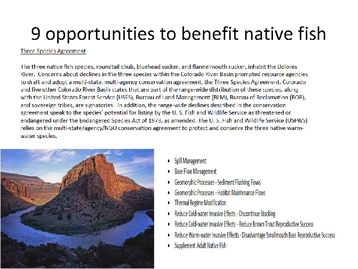 9 opportunities to benefit native fish 