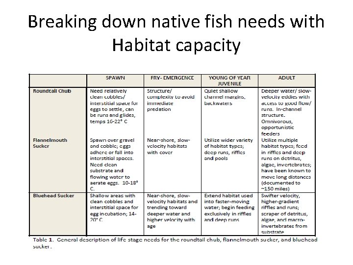 Breaking down native fish needs with Habitat capacity 