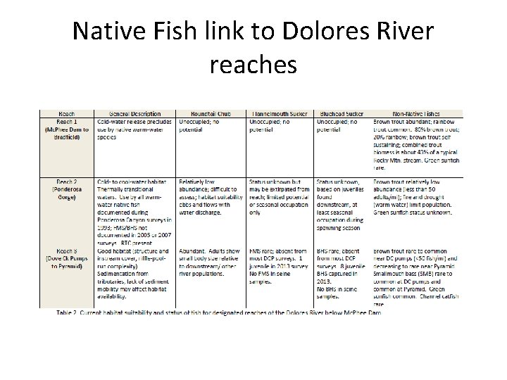 Native Fish link to Dolores River reaches 