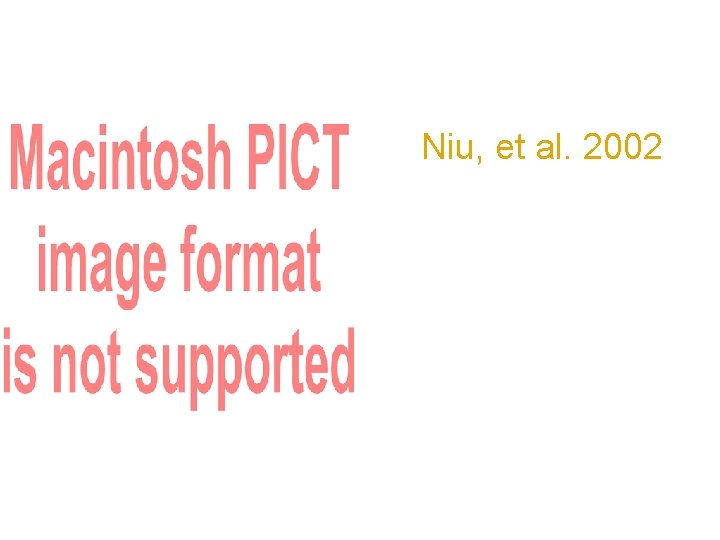 Niu, et al. 2002 