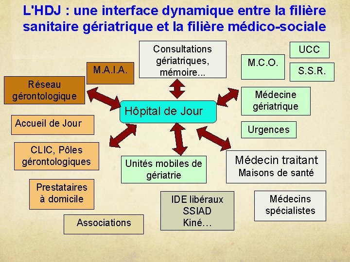 L'HDJ : une interface dynamique entre la filière sanitaire gériatrique et la filière médico-sociale