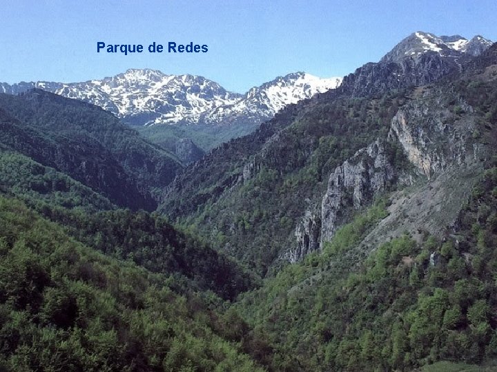 Parque de Redes 