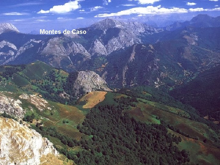 Montes de Caso 