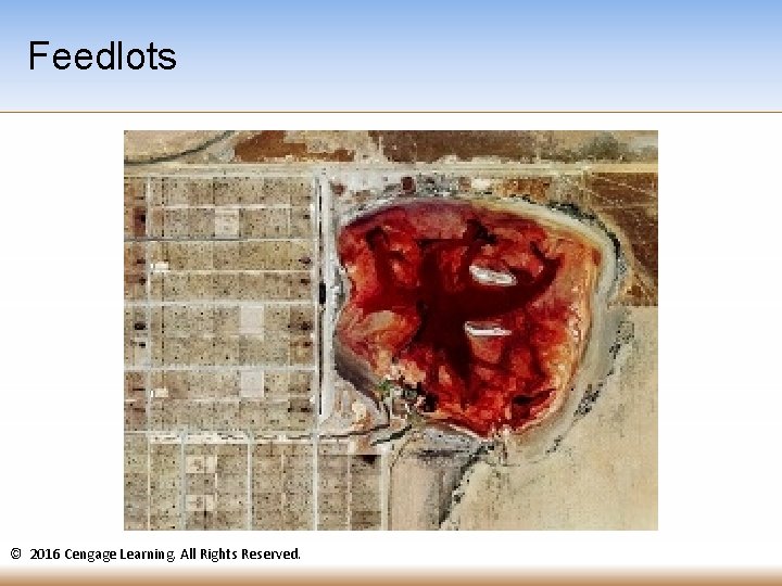 Feedlots © 2016 Cengage Learning. All Rights Reserved. 
